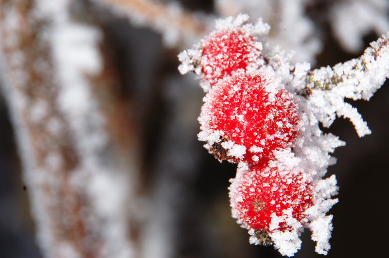 Arbeiten im Winter