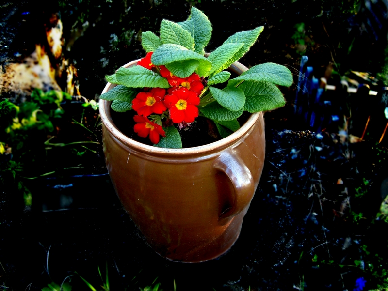 Garten gestalten
