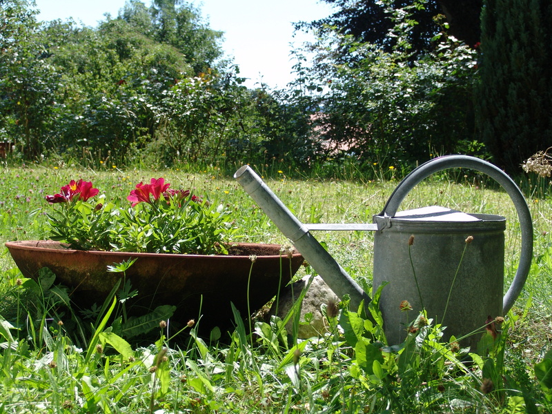 Einen neuen Garten anlegen