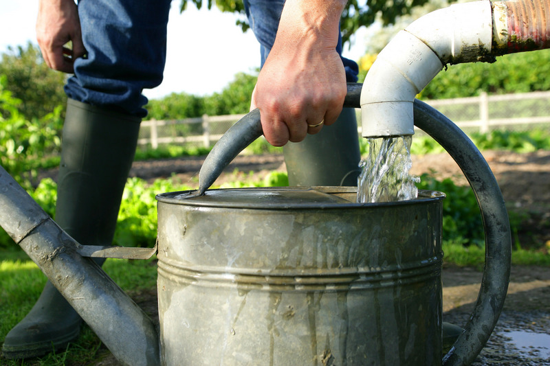 Die Gartenbewässerung