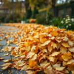 Herbstzauber: Laubmanagement und Bodenpflege im Oktober