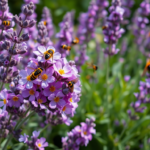 Insektenfreundliche Sträucher: Ein Paradies für Bienen und Schmetterlinge