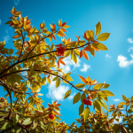 Lebensspender Bäume: Die Bedeutung von Bäumen im Garteneinsatz