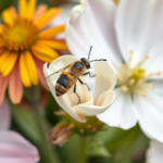 Natürliche Schädlingsbekämpfung: Schutzschild für Ihren Garten