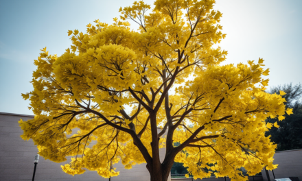 Robuste Baumarten trotzen dem Wandel: Die besten Überlebenskünstler des Klimawandels